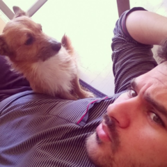 Serafeim Chaintoutis's profile picture