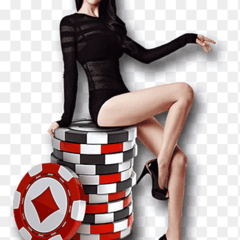 baccaratsite top's profile picture