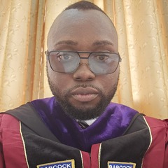 Olalekan Lalude 's profile picture