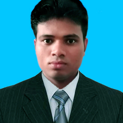 Md. Mahamodun Nobee's profile picture