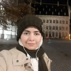 Faezeh Khodabandehlou's profile picture