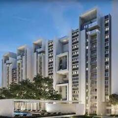 Rohan Antara's profile picture