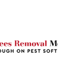 Bees Removal  Melbourne's profile picture