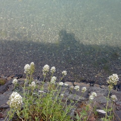 Jennifer Stanley's profile picture