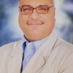 Osama Fekry Al Balah's profile picture