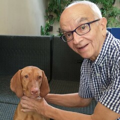 Saul Guerrero's profile picture