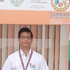 DEEPAK SAHINI's profile picture