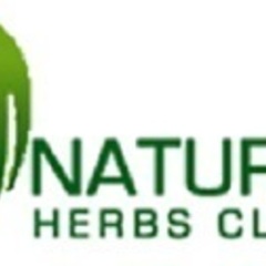 Harry Brook's profile picture