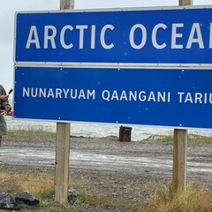 Mehrdad Safaei's profile picture