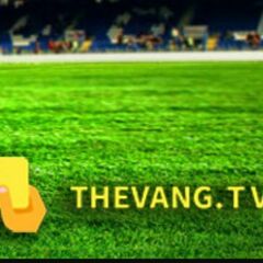 Thevangtv vn's profile picture