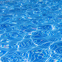 Hatim Kumar's profile picture