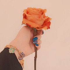 Lahib Al-Abbassi's profile picture