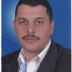 Ahmed Abdel Moneim's profile picture