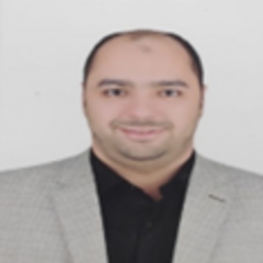 Ehab Almetwally's profile picture