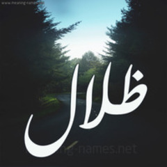 Zilal Meccawy's profile picture