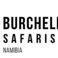 Burchell Wolf Safari's profile picture