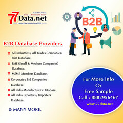 B2B Data Provider's profile picture