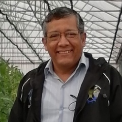 JUAN ENRIQUE RODRIGUEZ-PEREZ's profile picture