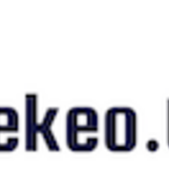 tylekeo tips's profile picture