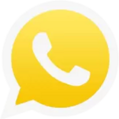 WhatsApp  Whatsapp's profile picture
