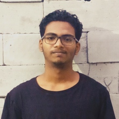 Ayush Somwanshi's profile picture