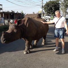 Kochemirovsky Vladimir's profile picture