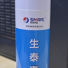 Jianhua WANG's profile picture