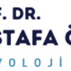 mustafa ozates's profile picture