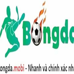 Bóng Đá  Mobi's profile picture