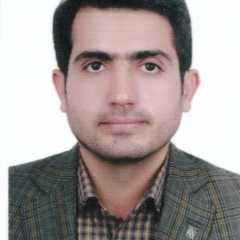AhmadReza Montazerolghaem's profile picture