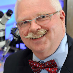 Dietrich Büsselberg's profile picture