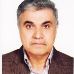 Behrooz Vahidi's profile picture