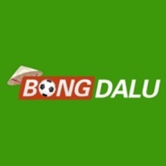 bongdalu blue's profile picture