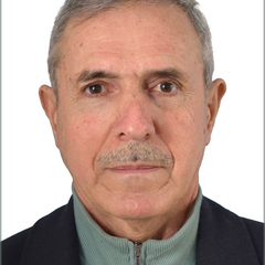 abdulbasit  muhmood's profile picture