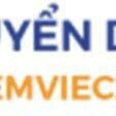 KiemViec 247's profile picture