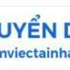 lamviec tainha247's profile picture