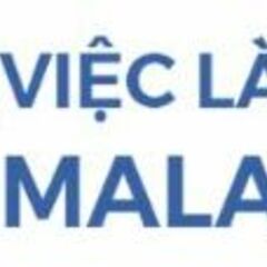 Viec Lam Malaysia's profile picture