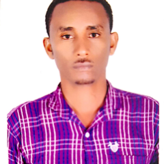 Atikilt Alemayehu's profile picture