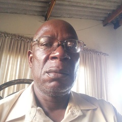 Innocent Nhapi's profile picture