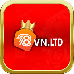 78vn Ltd's profile picture