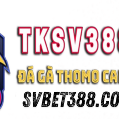 SV 388's profile picture