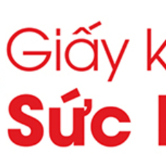 Giấy Khám  Sức Khỏe's profile picture