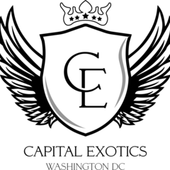 Capital Exotic's profile picture