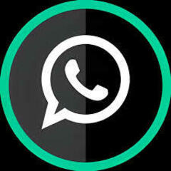 GBWhatsApp APK's profile picture