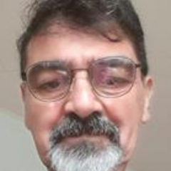 Piroz Zamankhan's profile picture