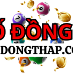 xs dongthap's profile picture