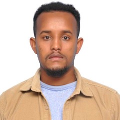 Tadesse  Tamir's profile picture