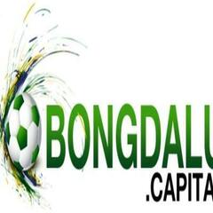 Bongdalu  Capital's profile picture