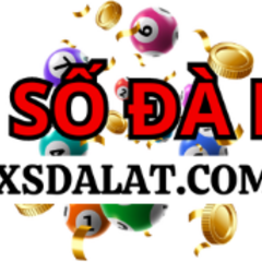 XS  Dalat's profile picture