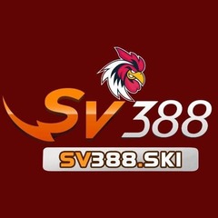 SV388 Ski's profile picture